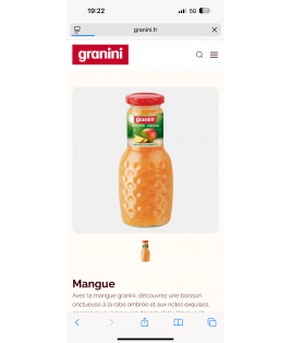 JUS DE MANGUE GRANINI 25cl