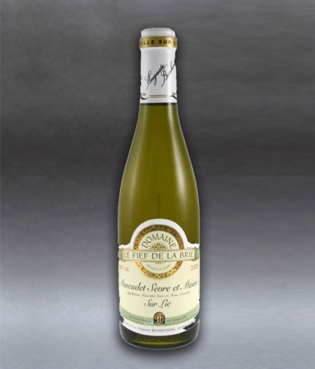 V1 Muscadet